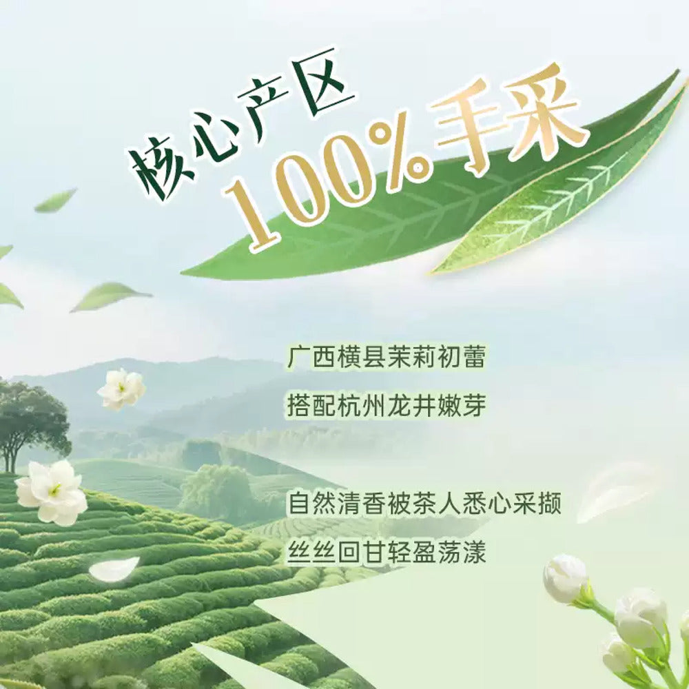 master-kong-sugar-free-jasmine-longjing-green-tea-drink-500ml-2