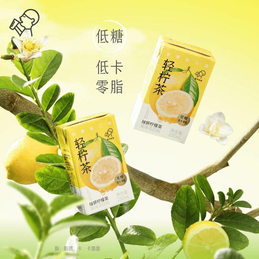 HEYTEA Light Lemon Green Tea Drink 250mL x 24 Pack – Umall - Australia ...