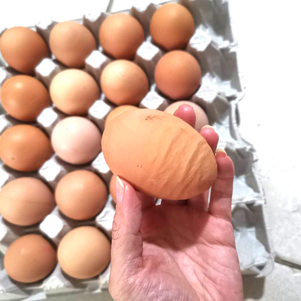 [Fresh]-Wonderwander-Forest-Raised-Extra-Large-Eggs,-12pcs,-approx.-900g-1