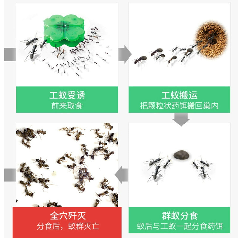 Earth-Ari-no-Su-Korori-Hyper-Ant-Bait-Stations-(Indoor/Outdoor)-–-12-Pack---Ant-Killer-Traps-for-Home-&-Garden-2