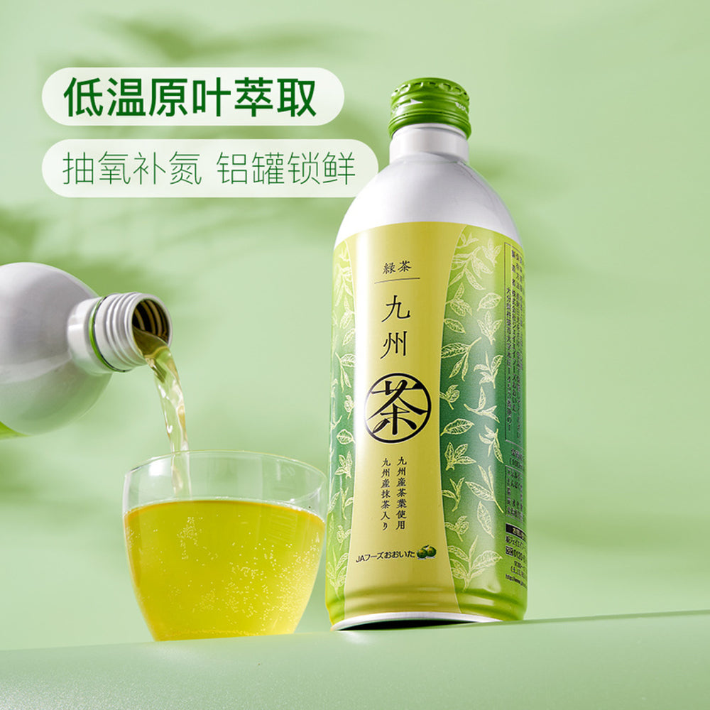 Kyushu-Japanese-Unsweetened-Green-Tea---490ml-x-12-Bottles-1