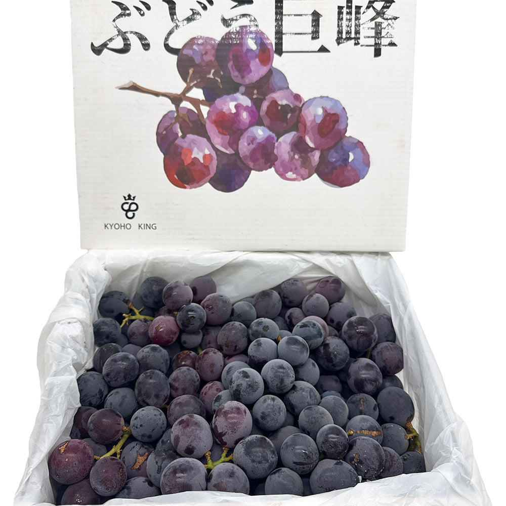 Kyoho-King-Japanese-Old-Vine-Grapes---Australian-Grown,-2kg-Box-1