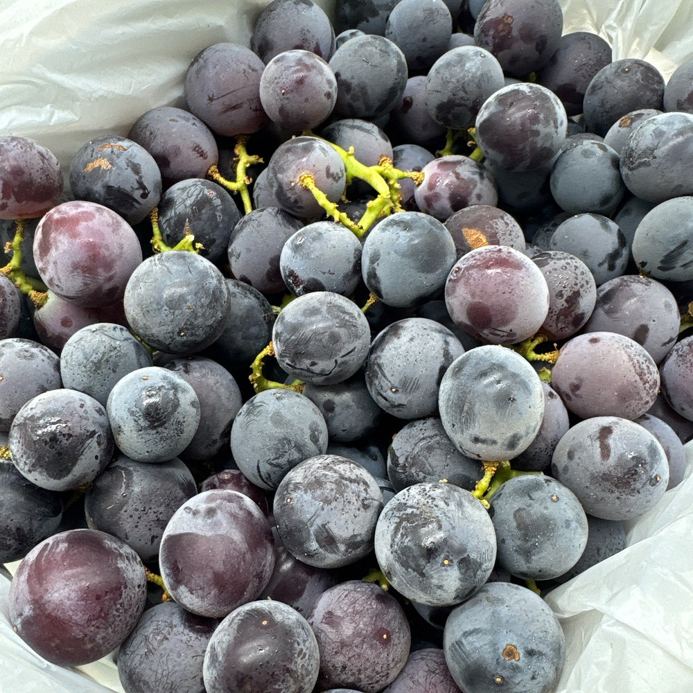 Kyoho-King-Japanese-Old-Vine-Grapes---Australian-Grown,-2kg-Box-1