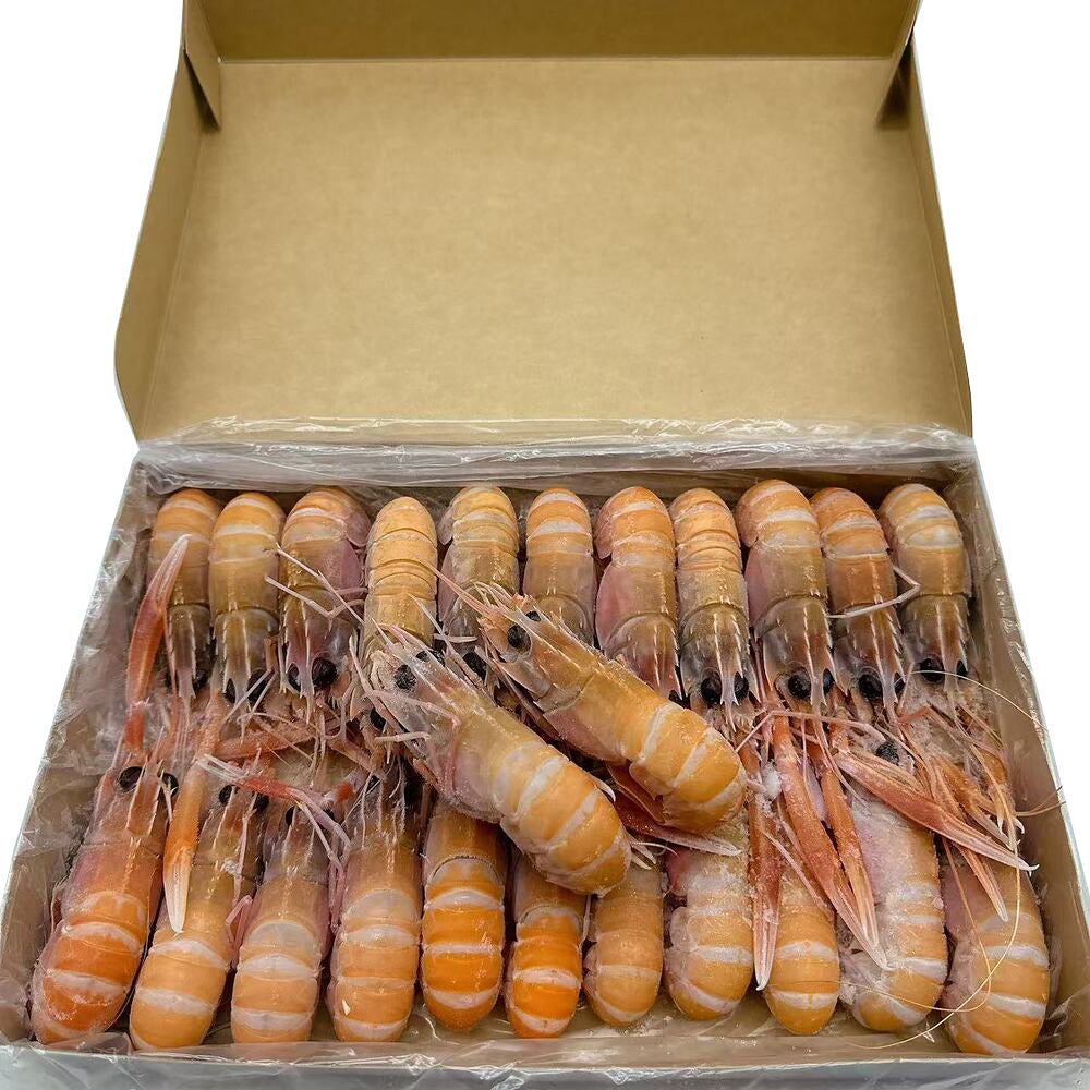 Austfish-Export-Grade-Wild-Scampi-(Langoustine)-No.4-–-1kg-Box-3