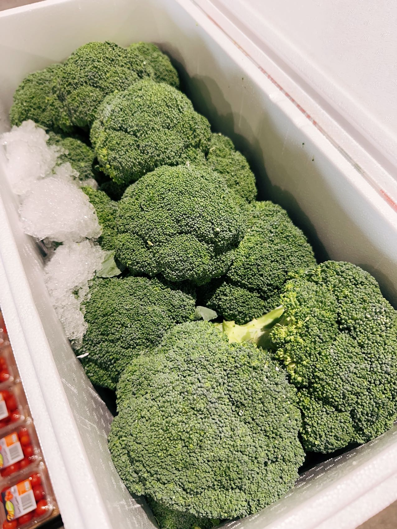 [Fresh]-Broccoli-Approximately-900g-1000g-1