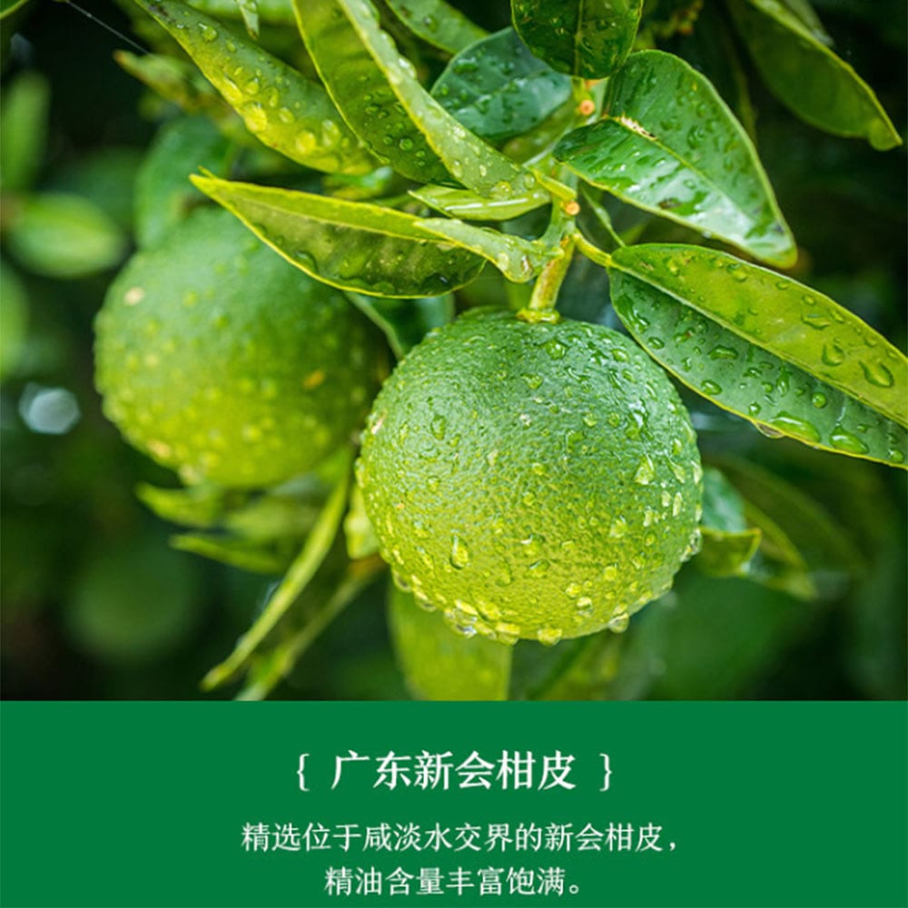 Nongfu-Spring-Oriental-Leaf-Green-Tangerine-Pu'er-Tea-500ml-1