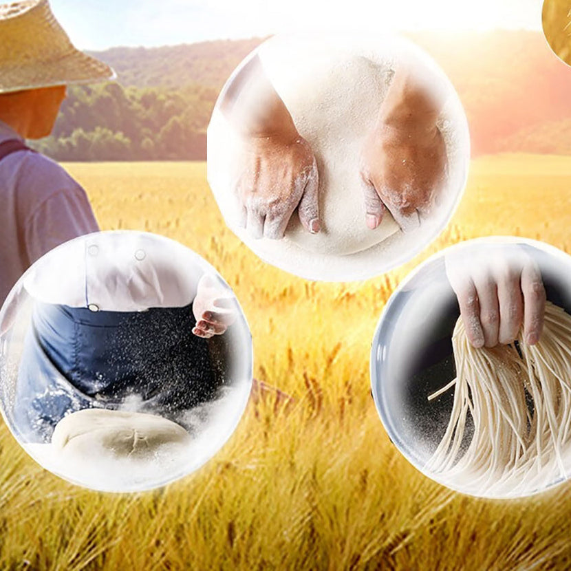 Mì Yidu Ramen Vị Xương Heo 280 g – mì tươi nước dùng béo ngậy