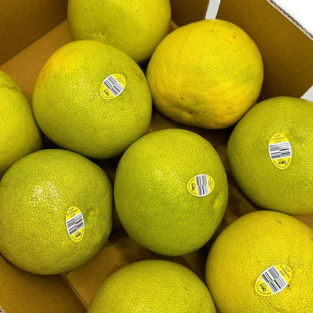 OZ-Pomelo-Shatian-Pomelo---Large,-1-Piece-1