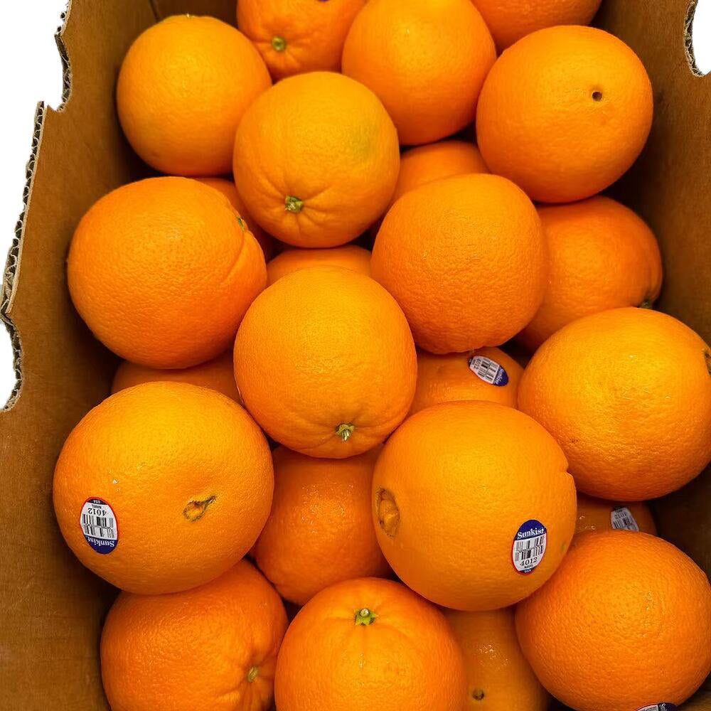 American-Navel-Oranges---3-Pieces-1