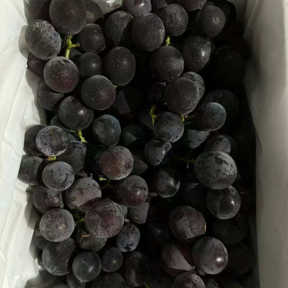Kyoho King Australian-Grown Kyoho Grapes Horse Year Limited Gift Box 2 ...