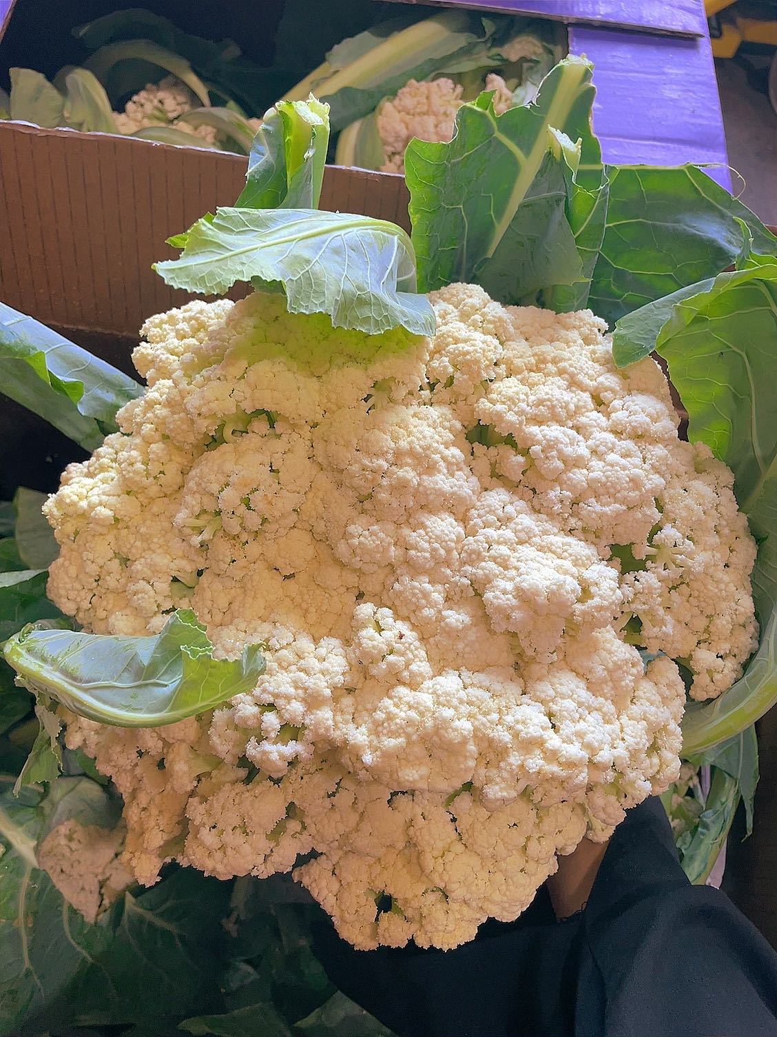[Fresh]-Organic-Chinese-Cauliflower-with-Leaves,-Whole,-1.5kg+-1