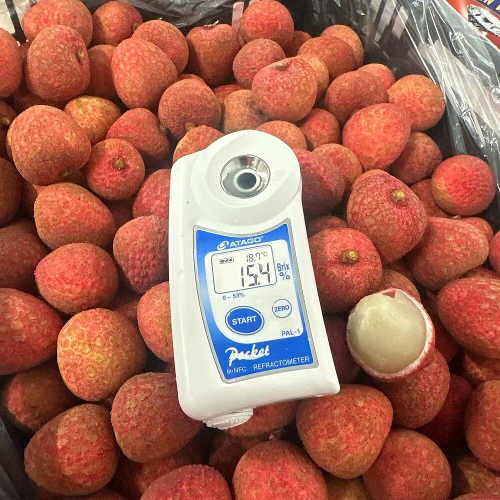 australian-souey-tung-lychees-approx-5kg-carton-2