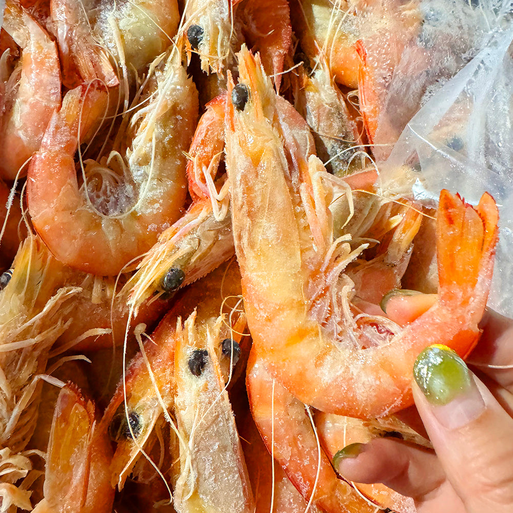 Frozen Cooked King Prawns U10/15 - 1kg-1