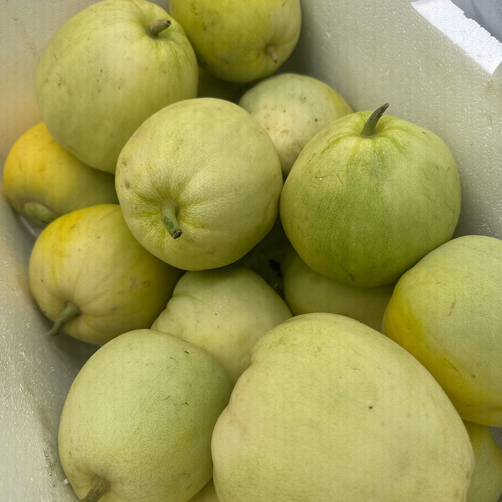 Japanese-Sweet-Treasure-Melon---1-Piece-1