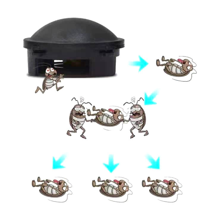 Earth Black Cap Bả diệt gián 24 g (12 viên) – bả gián Nhật hiệu quả 1 năm