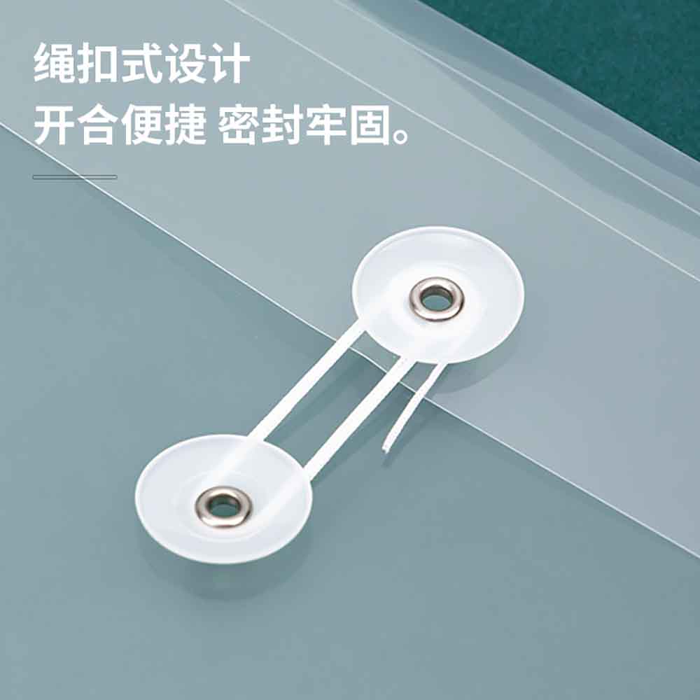 Document String Closure Deli A4 Transparent Document Bag with White String Closure – Umall ...
