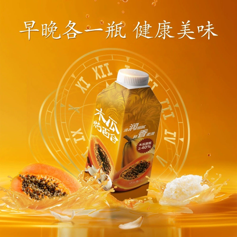 Drinksba-Papaya-Stewed-Lily-Mixed-Fruit-and-Vegetable-Juice---265ml-x-20-Bottles-1