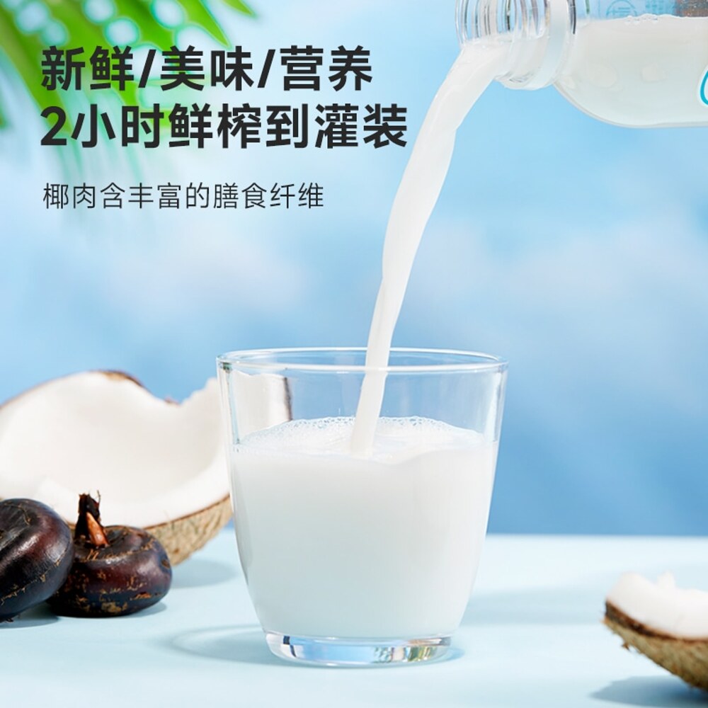 Qinglan-Coconut-&-Water-Chestnut-Plant-Based-Drink-–-380ml-×-15-Bottles-(Carton)-4