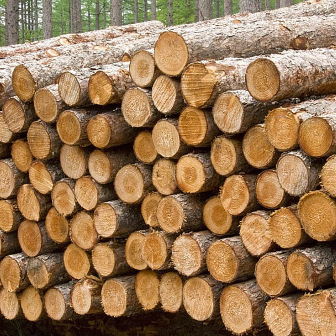 Giấy ăn Lifease 3 lớp 120 tờ x 6 gói – siêu mềm mại, thấm hút tối ưu