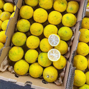 Tất cả trái cây at UMall Australia