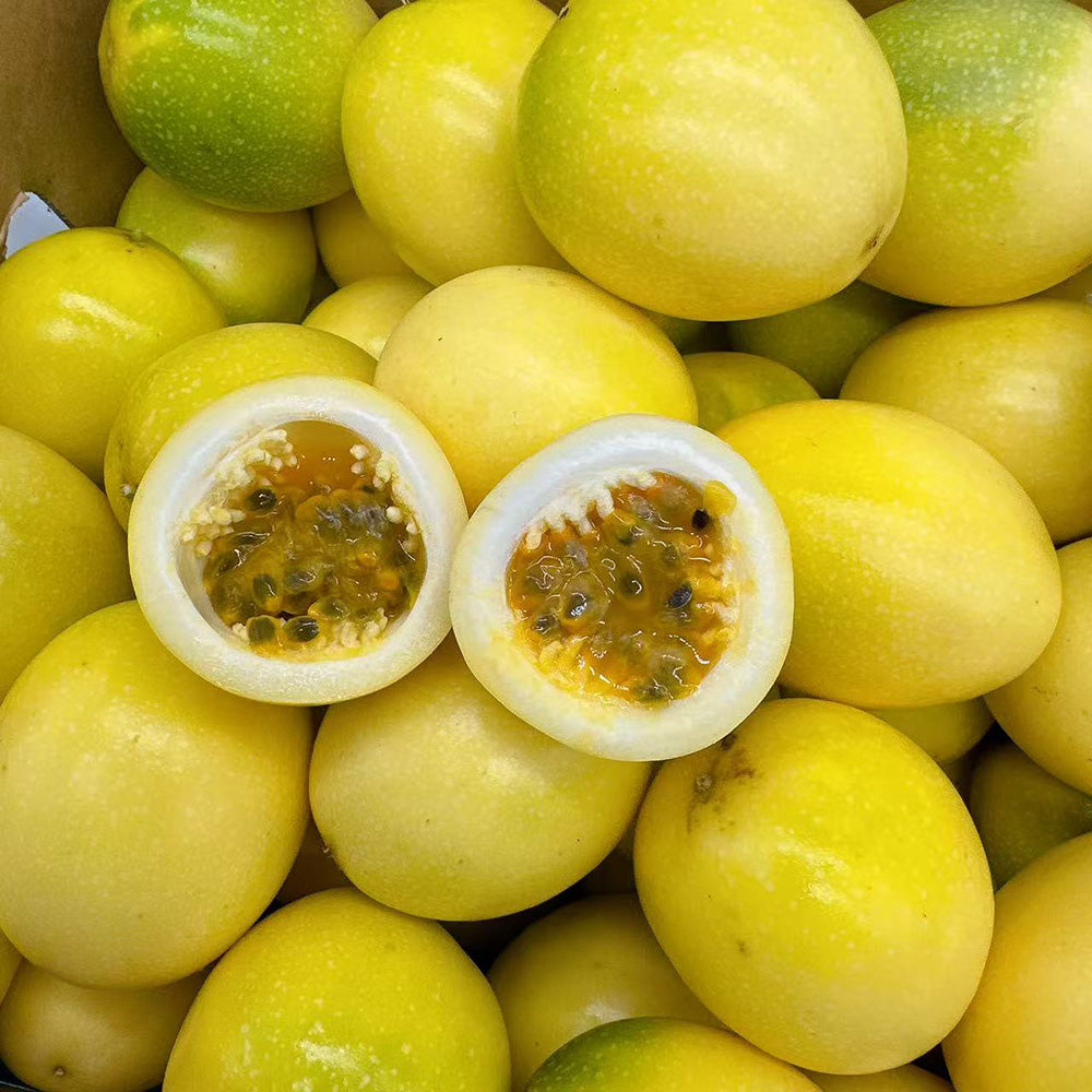 Golden Passion Fruit - 3 Pieces-1