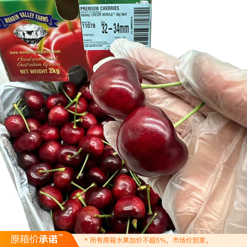 wandin-valley-farms-nebula-premium-cherries-gift-box-32-34mm-approx-2kg-1