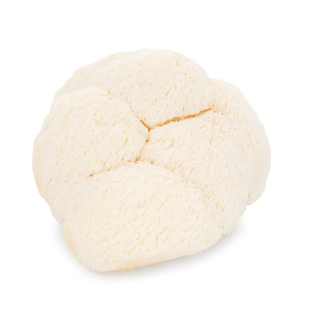 Nấm Bờm Sư Tử (Lion's Mane) 200 g – nấm tươi bổ dưỡng, thơm ngon