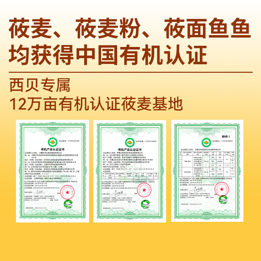 Xibei-Frozen-Organic-Oat-Dough-Noodles-(Youmian-Yuyu)-200g-–-Shanxi-Style-Oat-Pasta-5