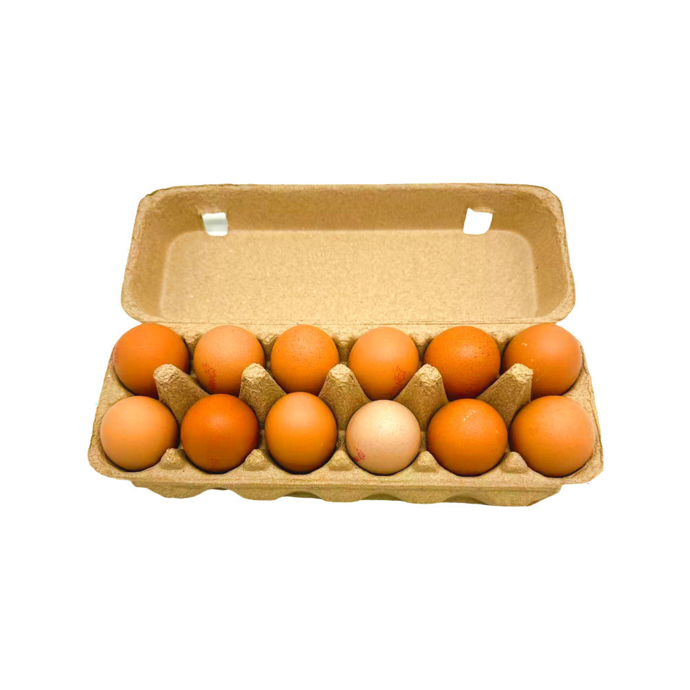 Jones-Bros-Cage-Free-XL-Eggs---12-Pieces,-700g-1