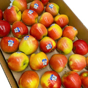 All Fruit at UMall Australia