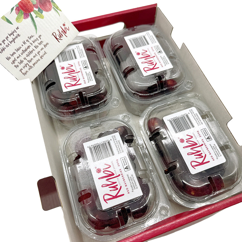 Rubbi-Fresh-Red-Bayberries---Box-of-4-Packs-1