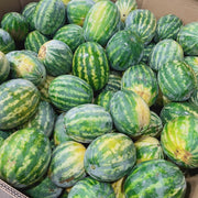 All Fruit at UMall Australia