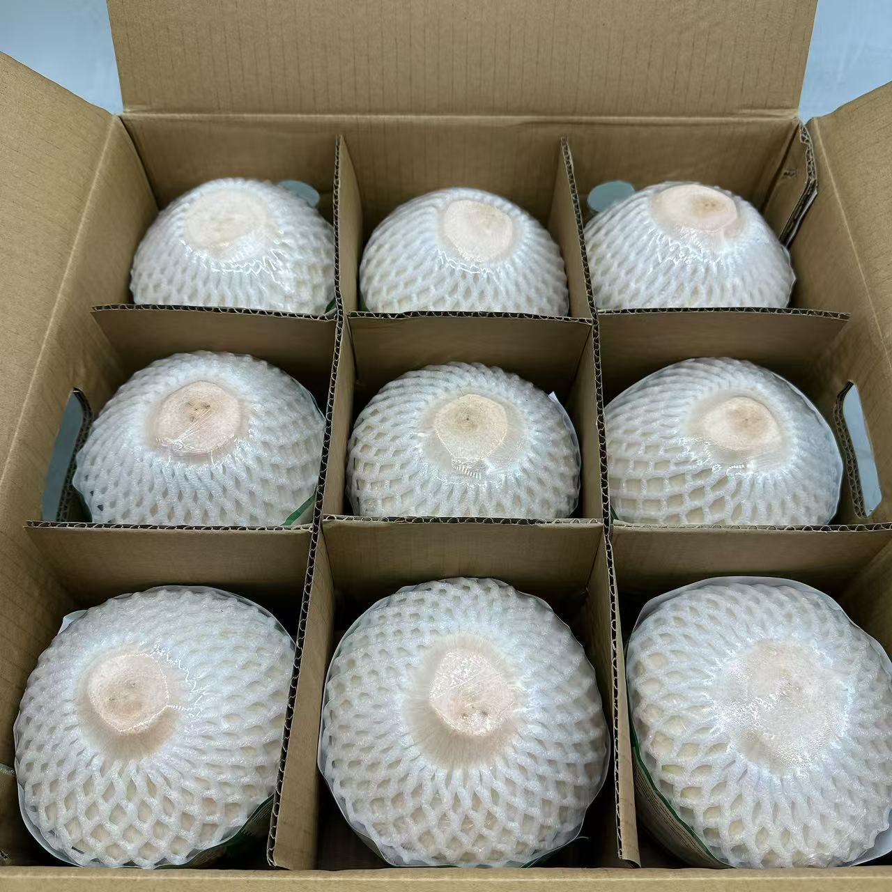 Vietnam-Premium-Large-Young-Coconuts-–-Box-of-9---Fresh-Drinking-Coconuts-2
