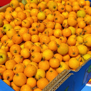 Tất cả trái cây at UMall Australia