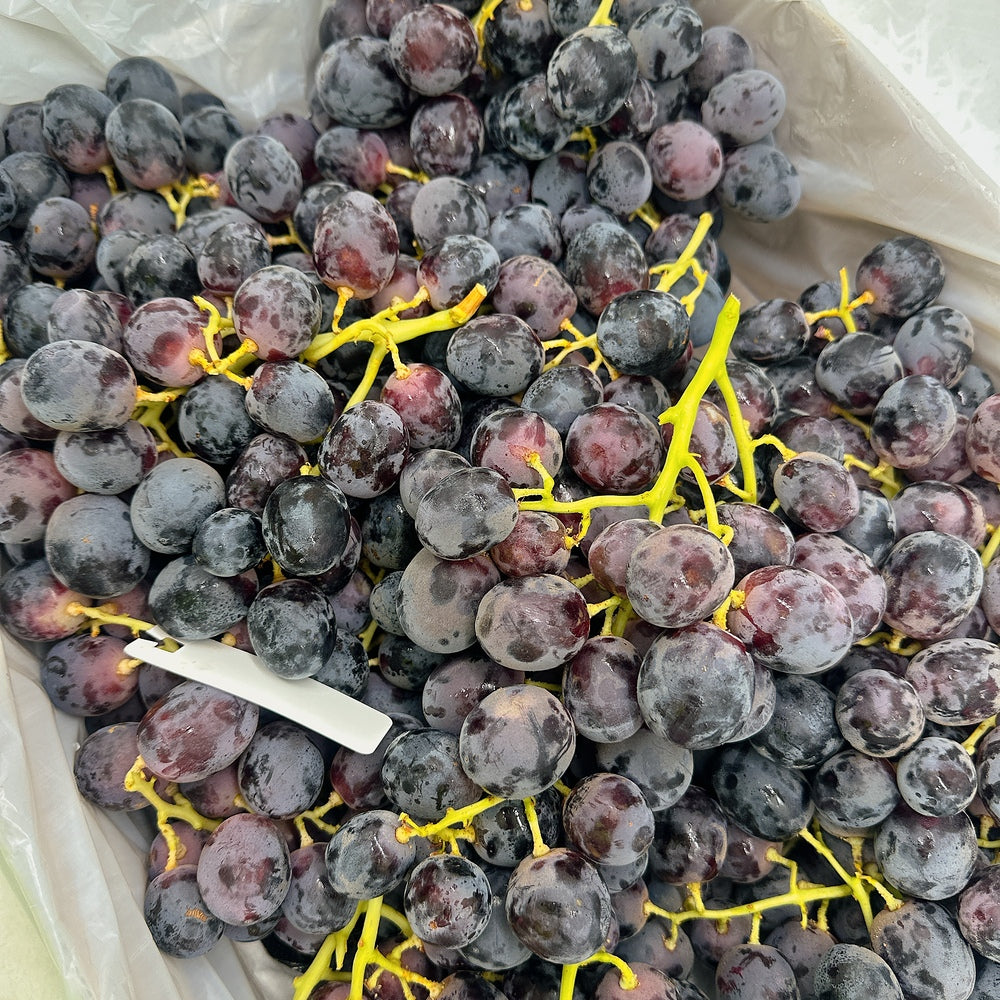 Australian-Adora-Black-Grapes-from-Golden-Gate-Farm---Premium-Size-26+-900g--1