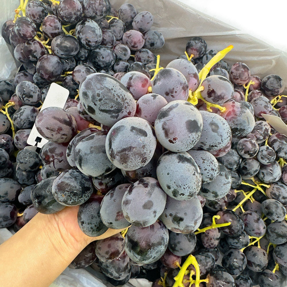 Australian-Adora-Black-Grapes-from-Golden-Gate-Farm---Premium-Size-26+-900g--1