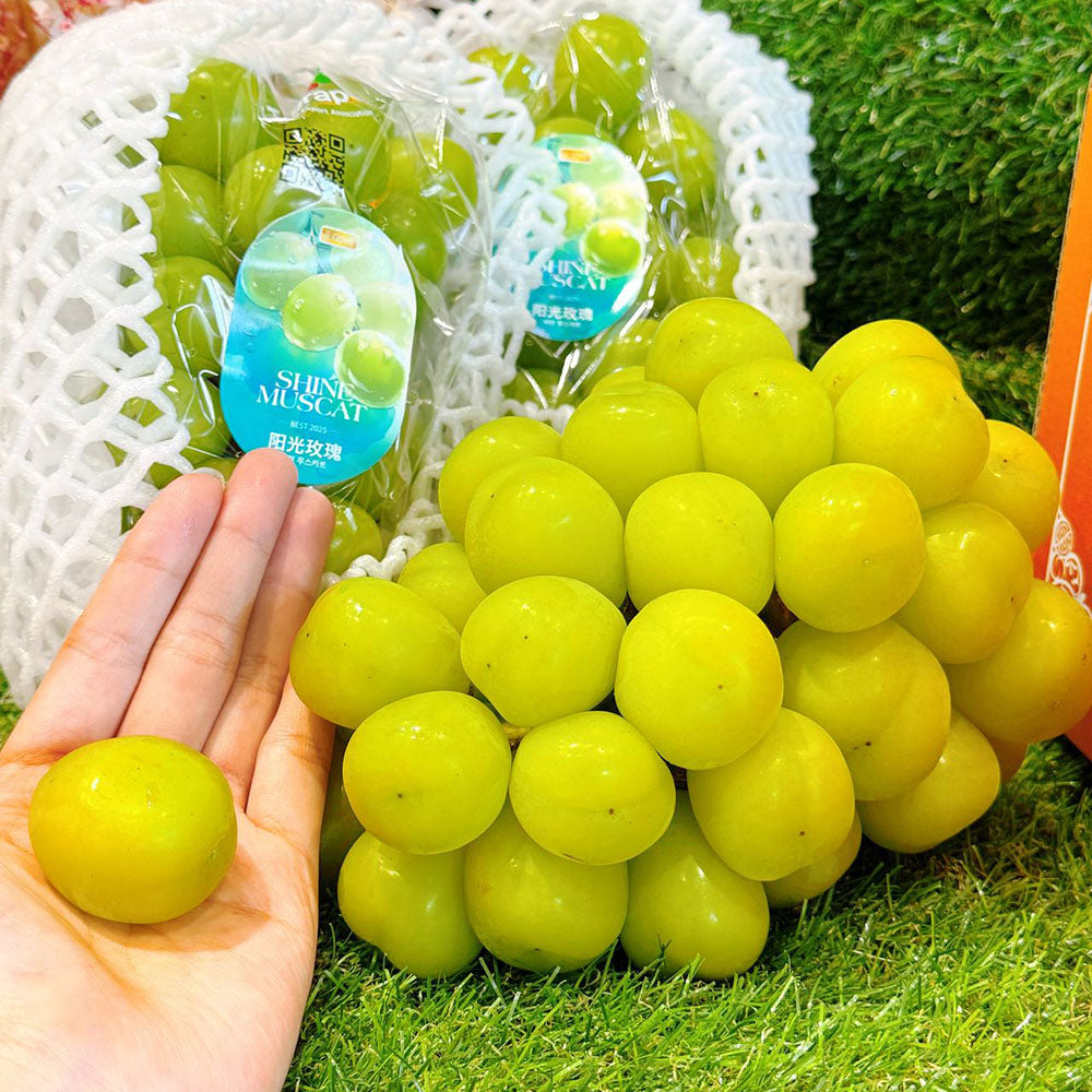 korean-premium-shine-muscat-grapes-gift-box-approx-2kg-1