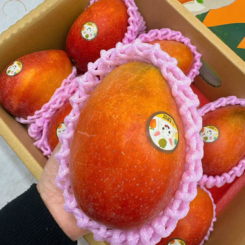 Taiwan-Fruit-Festival-Air-Shipped-Golden-Pineapple-&-Irwin-Mango-Gift-Set-with-2-Sam’s-Swiss-Rolls-($10-Value)-5