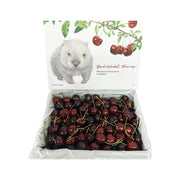 All Fruit at UMall Australia