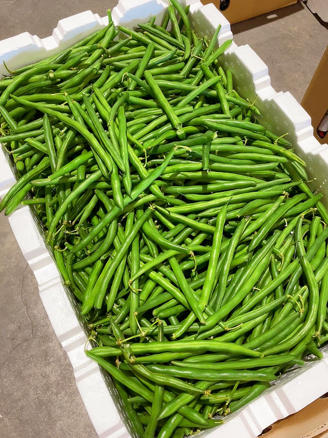 [Fresh]-Seasonal-Green-Beans-Approximately-500g-1