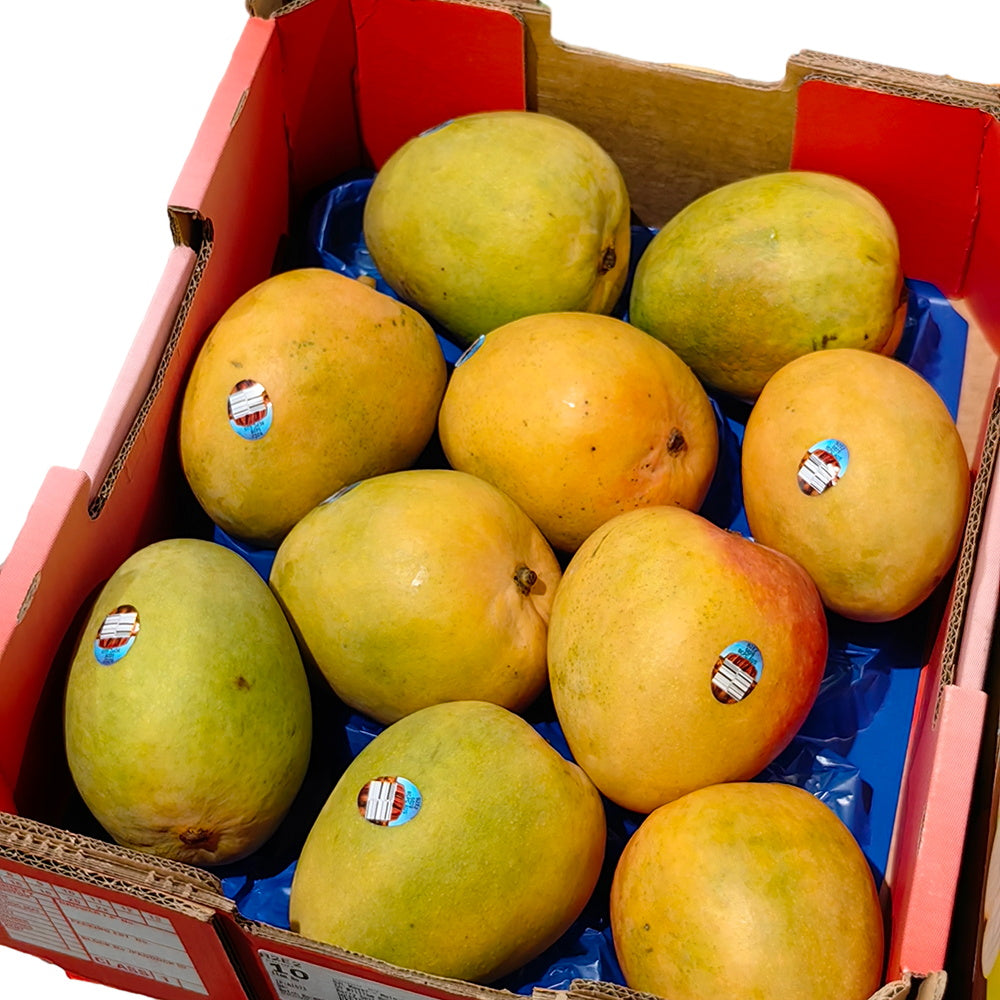Fr Mango R2e2 R2E2 Mango – Large, 1 Piece – Fast Sydney Delivery – Umall - Australia ...