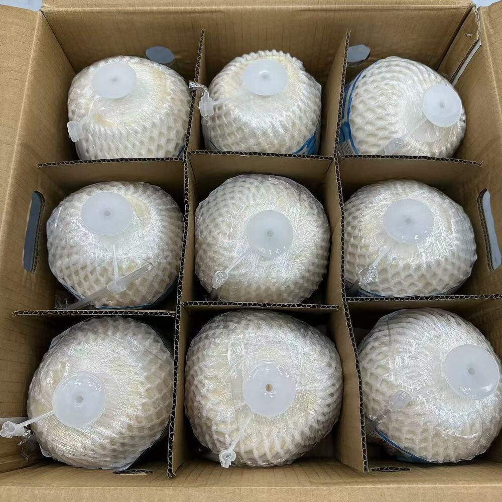 Premium-Easy-Open-Vietnamese-Young-Coconut-(Large)---1-Piece-3
