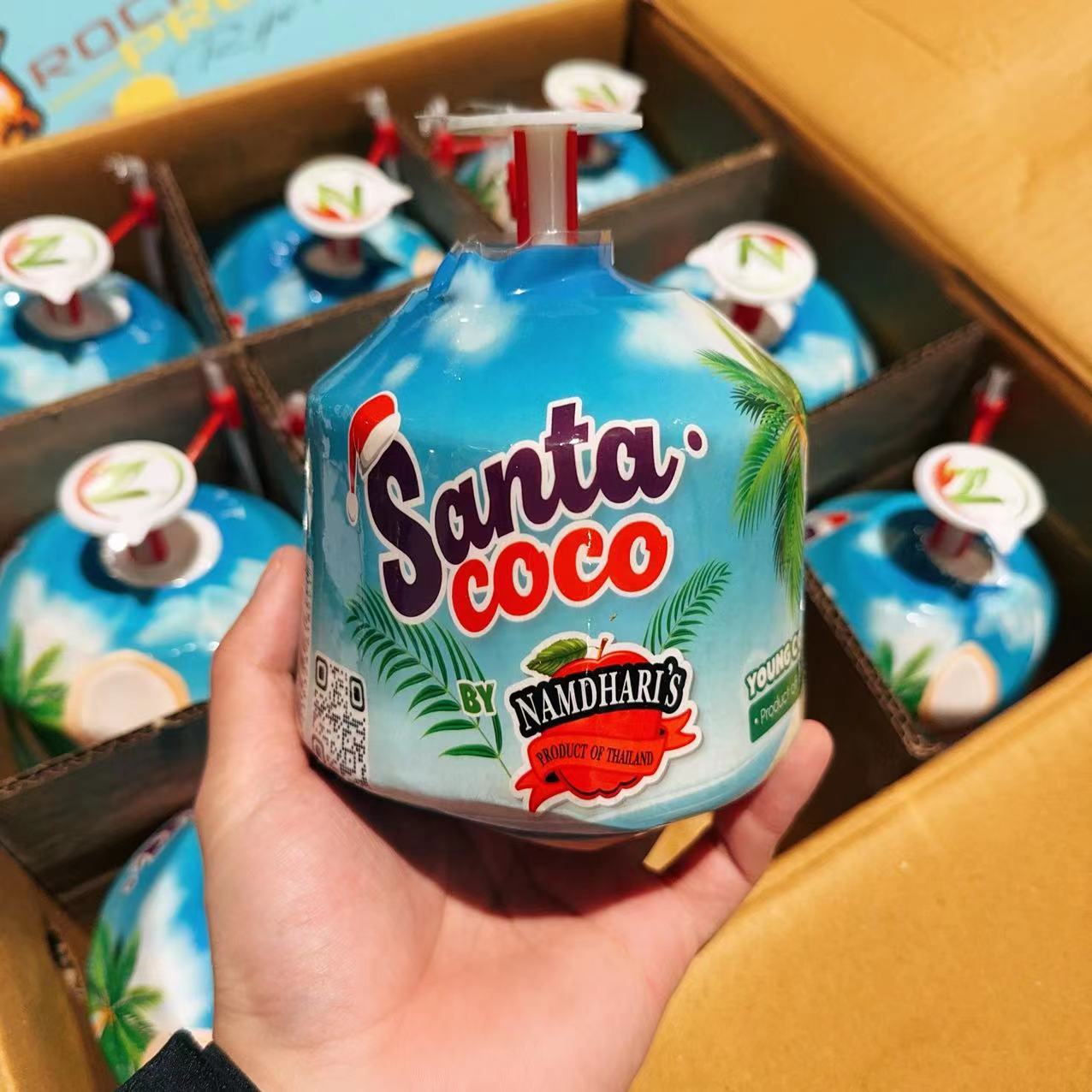 Santa Coco Easy Open Young Coconut - 1 Piece – Umall - Australia's ...