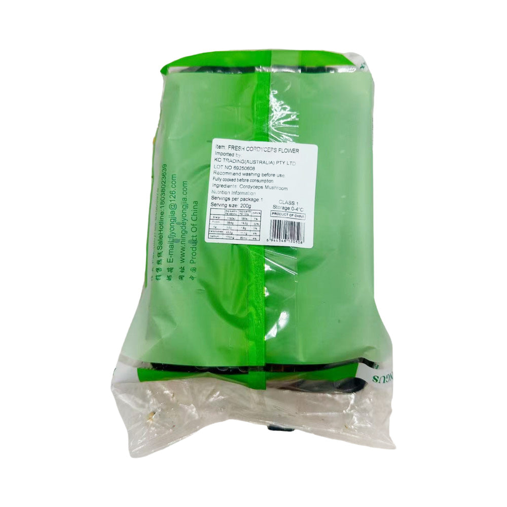 Yong-Jia-Fresh-Cordyceps-Militaris-Mushrooms-(Cordyceps-Flower)-–-200g-Tray-3