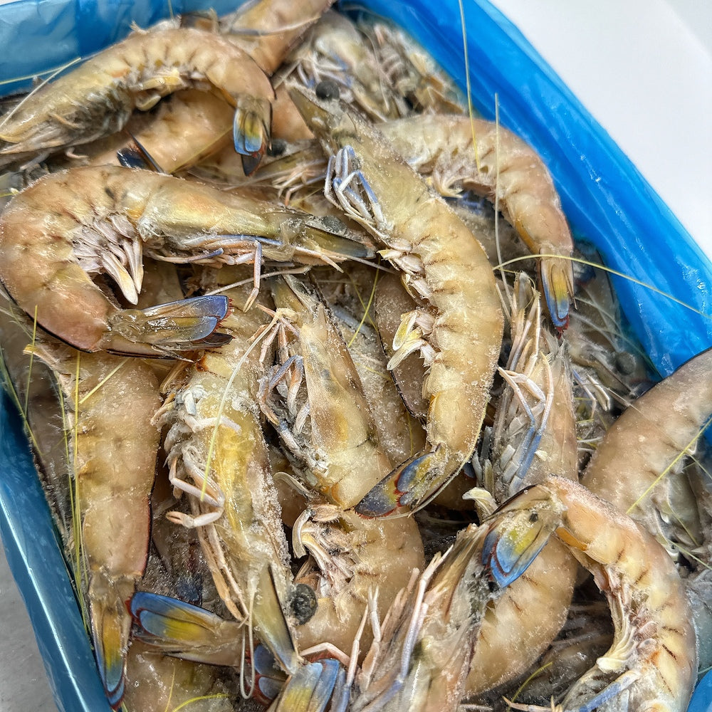 tarni-brand-frozen-whole-king-prawns-u20-sashimi-grade-3kg-box-2