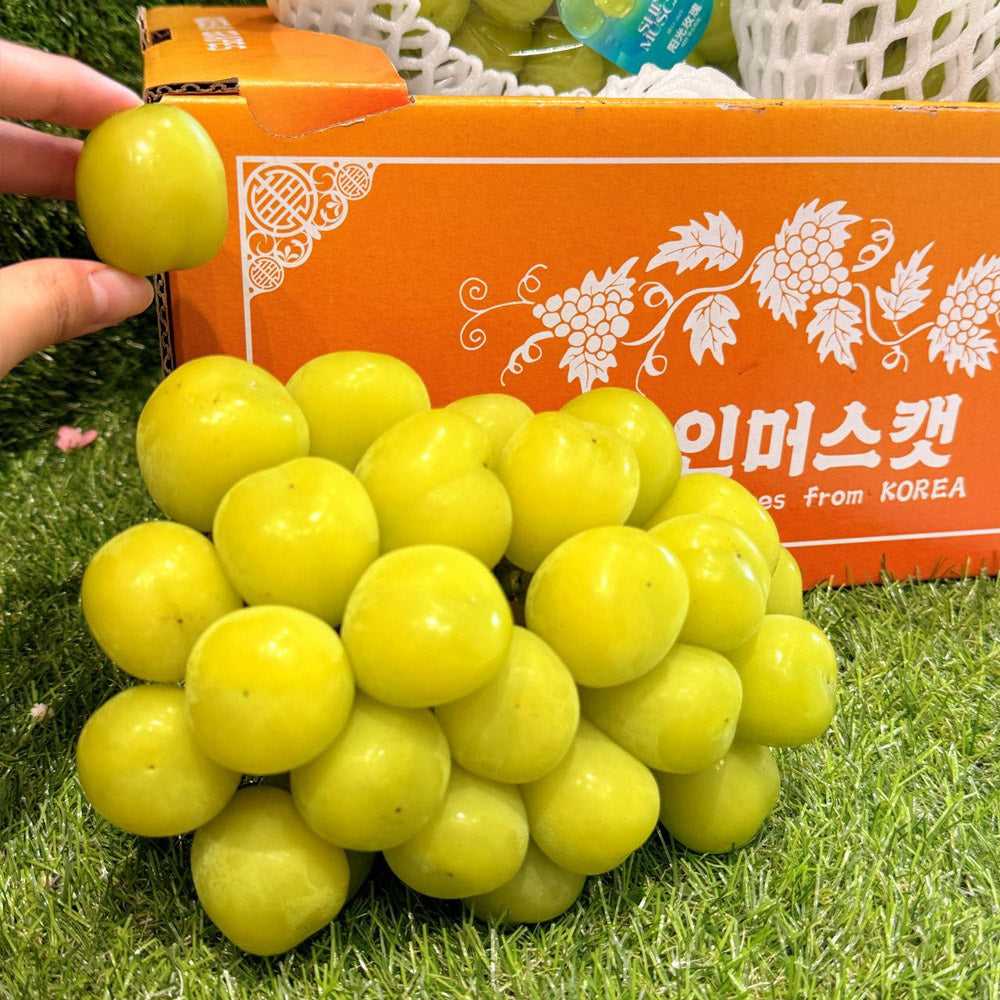 korean-premium-shine-muscat-grapes-gift-box-approx-2kg-2