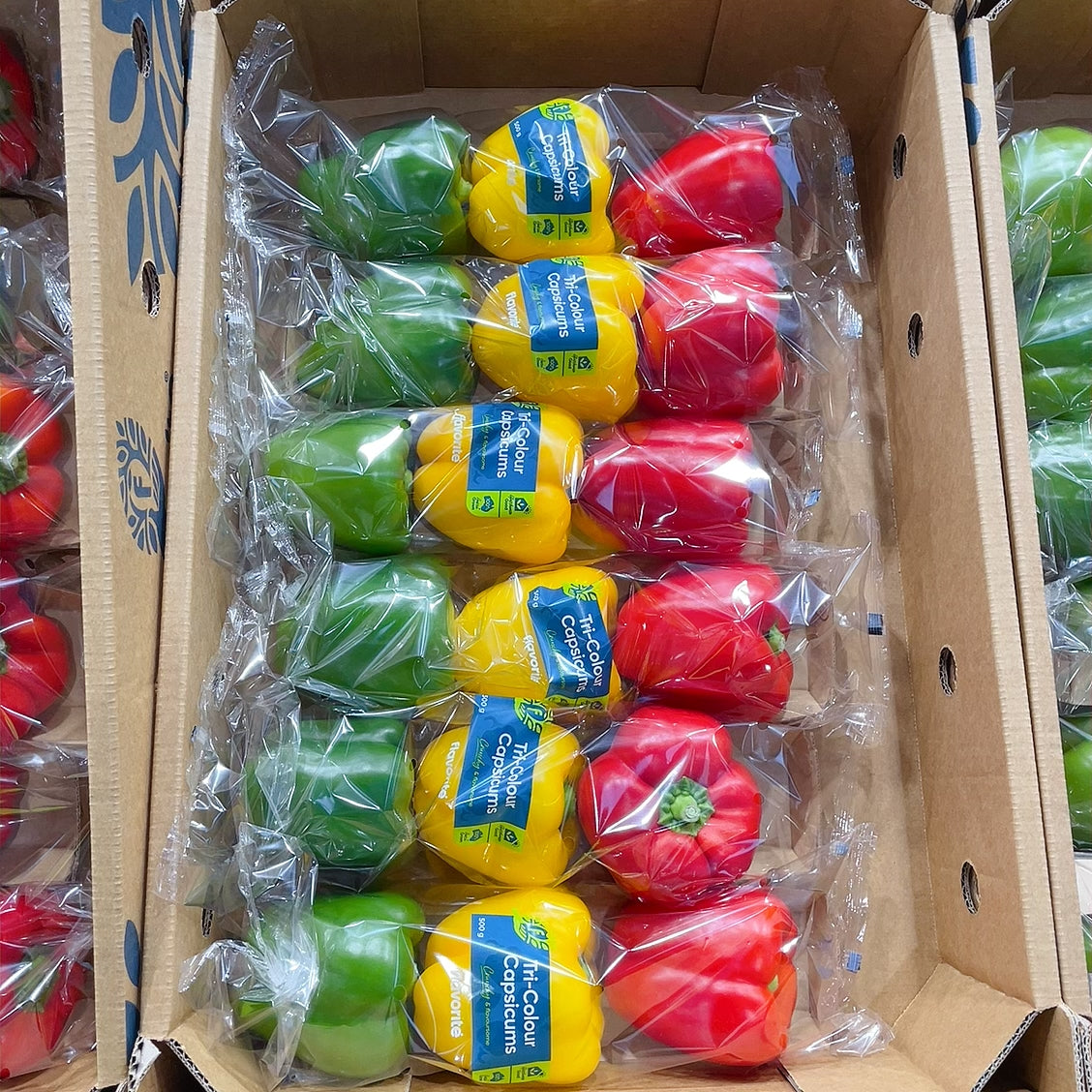 Triangle Pepper Buy Tricolor Bell Peppers in Sydney - 1 Pack – Umall - Australia's ...