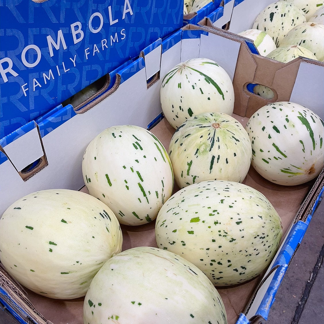 Dưa lê sữa Dino Moon Dew 1 quả – ngọt mát, giòn sật