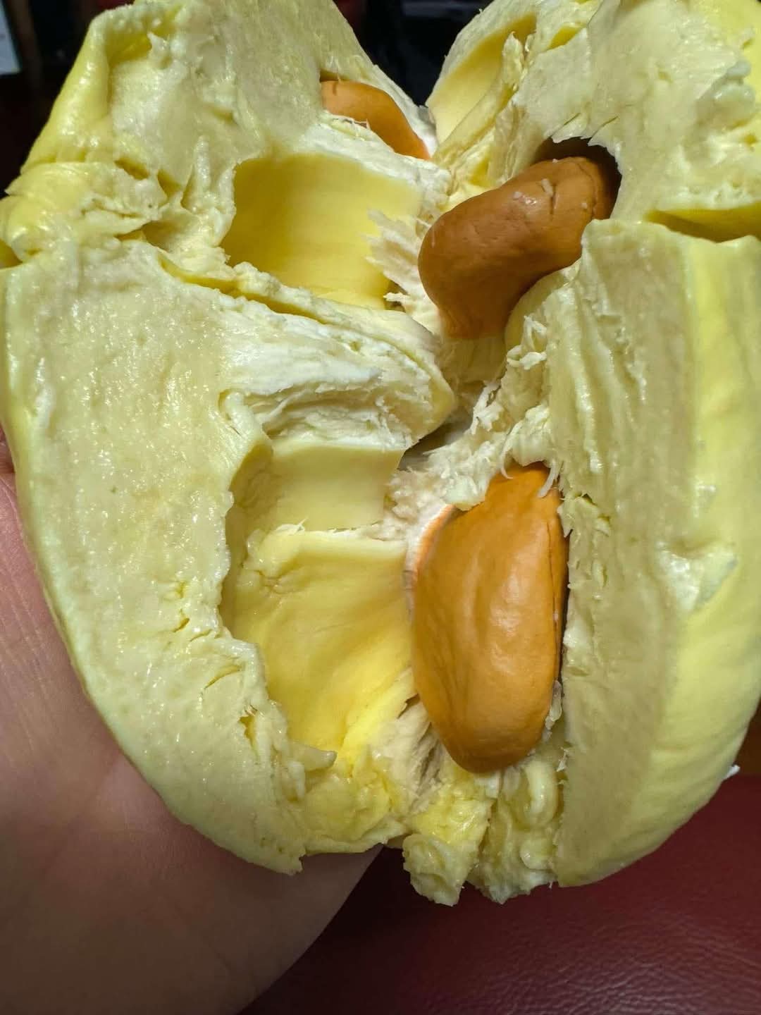 Thai-Fresh-Premium-Monthong-Durian---500g--1