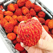 All Fruit at UMall Australia